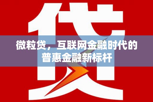 定州微粒贷，互联网金融时代的普惠金融新标杆