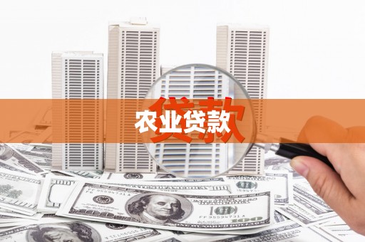 定州农业贷款