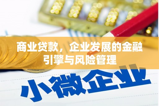 定州商业贷款，企业发展的金融引擎与风险管理