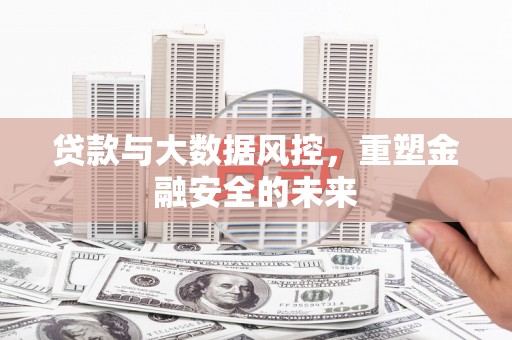 定州贷款与大数据风控，重塑金融安全的未来