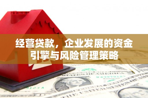 定州经营贷款，企业发展的资金引擎与风险管理策略