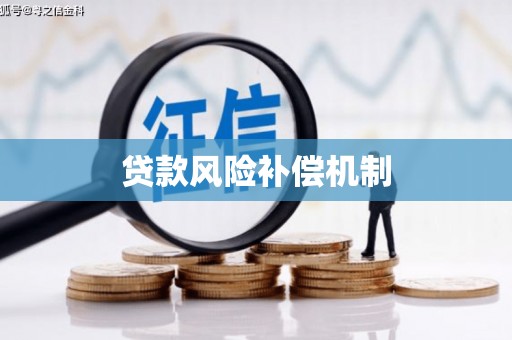 定州贷款风险补偿机制