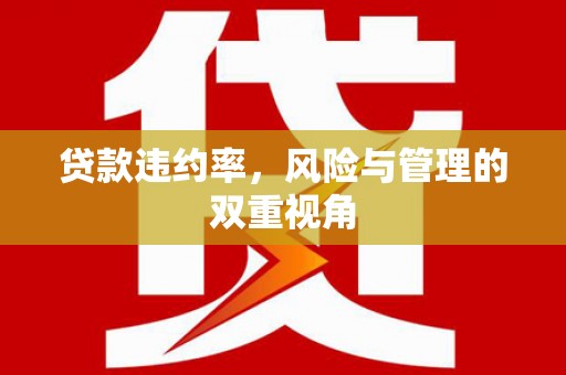 定州贷款违约率，风险与管理的双重视角