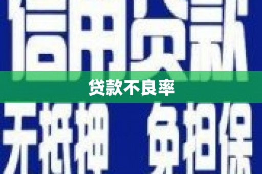 定州贷款不良率