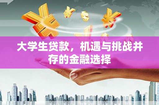 定州大学生贷款，机遇与挑战并存的金融选择