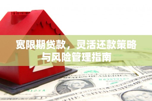 定州宽限期贷款，灵活还款策略与风险管理指南