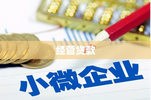定州经营贷款