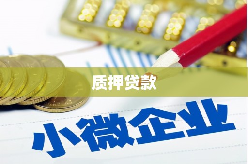 定州质押贷款