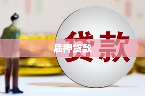 定州质押贷款