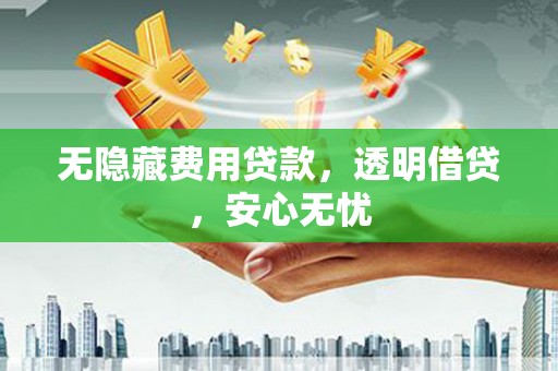 定州无隐藏费用贷款，透明借贷，安心无忧