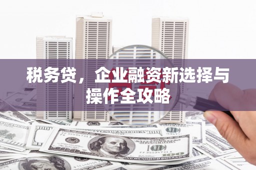 定州税务贷，企业融资新选择与操作全攻略
