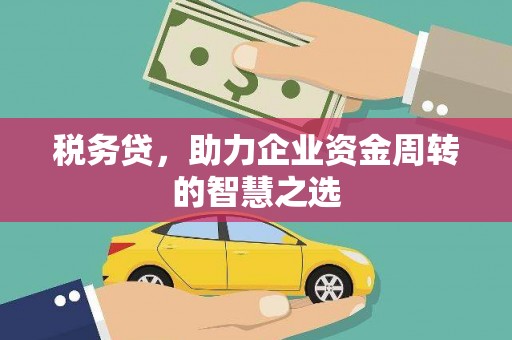 定州税务贷，助力企业资金周转的智慧之选