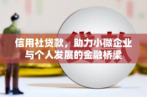 定州信用社贷款，助力小微企业与个人发展的金融桥梁