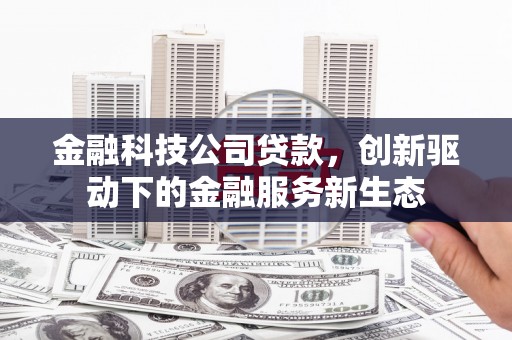 定州金融科技公司贷款，创新驱动下的金融服务新生态