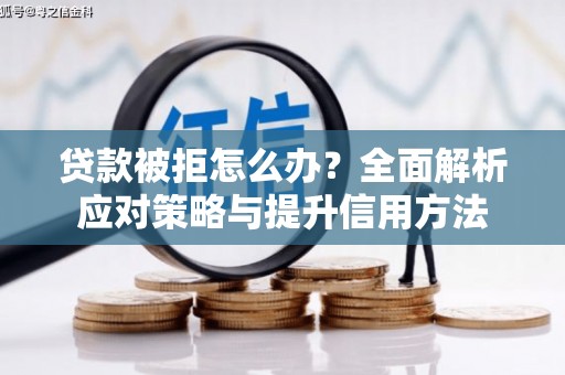 定州贷款被拒怎么办？全面解析应对策略与提升信用方法