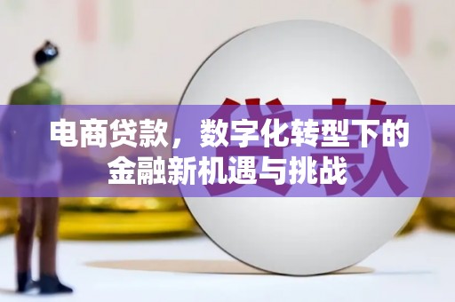 定州电商贷款，数字化转型下的金融新机遇与挑战