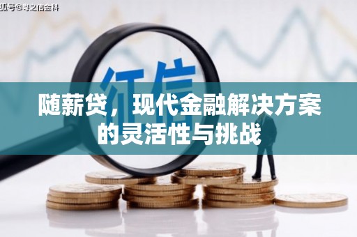 定州随薪贷，现代金融解决方案的灵活性与挑战