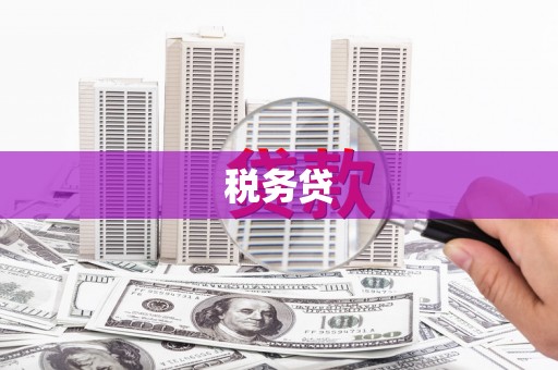 定州税务贷