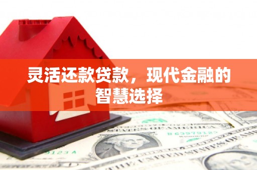 定州灵活还款贷款，现代金融的智慧选择