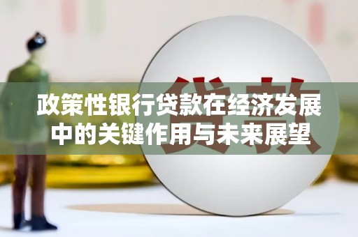 定州政策性银行贷款在经济发展中的关键作用与未来展望
