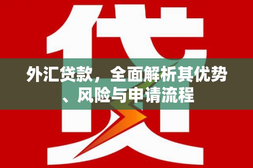 定州外汇贷款，全面解析其优势、风险与申请流程