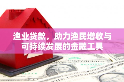 定州渔业贷款，助力渔民增收与可持续发展的金融工具