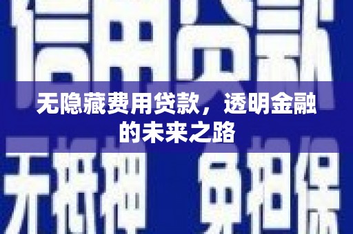 定州无隐藏费用贷款，透明金融的未来之路