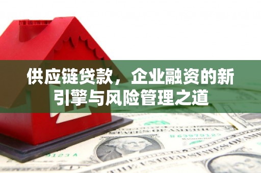 定州供应链贷款，企业融资的新引擎与风险管理之道