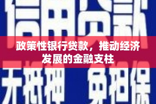 定州政策性银行贷款，推动经济发展的金融支柱