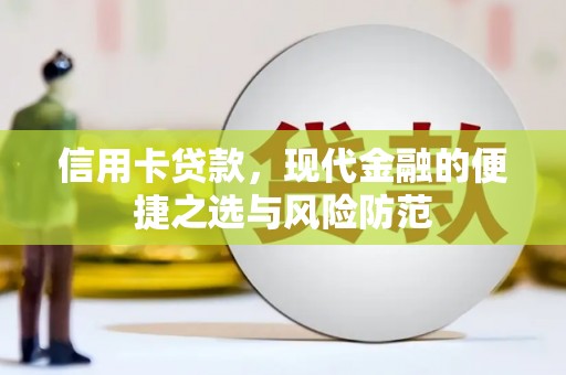 定州信用卡贷款，现代金融的便捷之选与风险防范