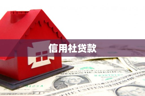定州信用社贷款