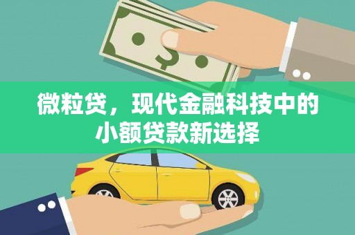 定州微粒贷，现代金融科技中的小额贷款新选择