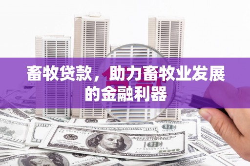 定州畜牧贷款，助力畜牧业发展的金融利器
