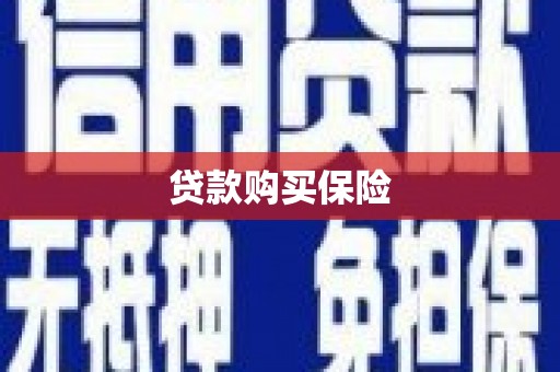 定州贷款购买保险