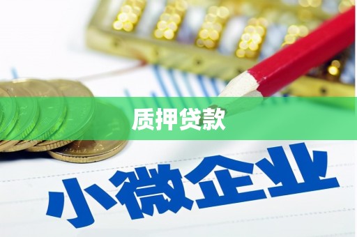 定州质押贷款