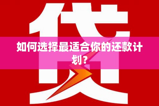 定州如何选择最适合你的还款计划？