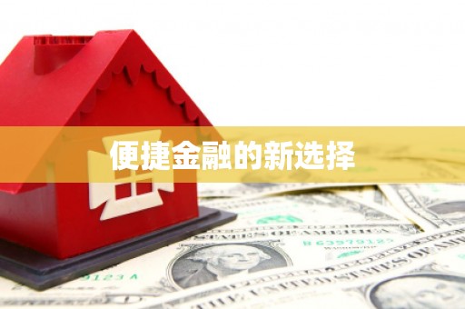 定州便捷金融的新选择