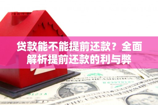 定州贷款能不能提前还款？全面解析提前还款的利与弊