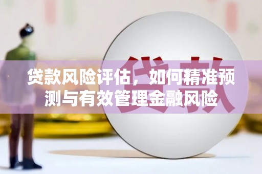 定州贷款风险评估，如何精准预测与有效管理金融风险
