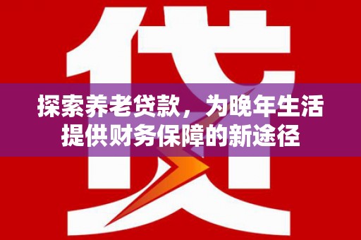 定州探索养老贷款，为晚年生活提供财务保障的新途径