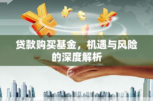 定州贷款购买基金，机遇与风险的深度解析