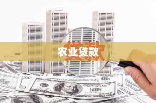 定州农业贷款