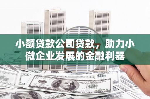 定州小额贷款公司贷款，助力小微企业发展的金融利器