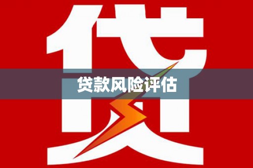 定州贷款风险评估