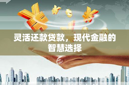 定州灵活还款贷款，现代金融的智慧选择