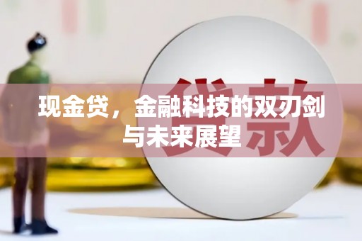 定州现金贷，金融科技的双刃剑与未来展望