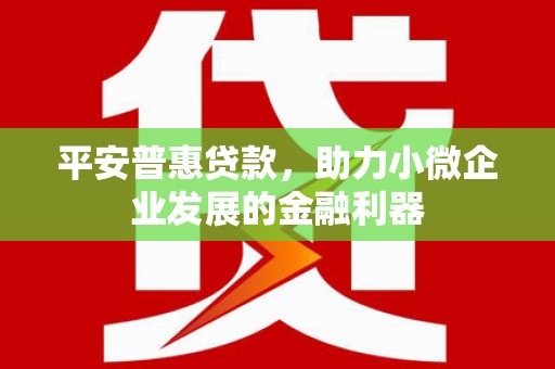 定州平安普惠贷款，助力小微企业发展的金融利器