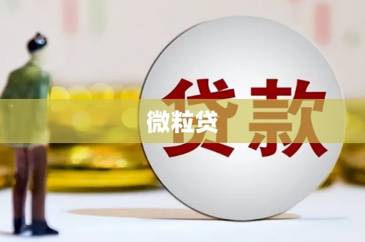 定州微粒贷
