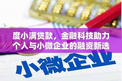 定州度小满贷款，金融科技助力个人与小微企业的融资新选择