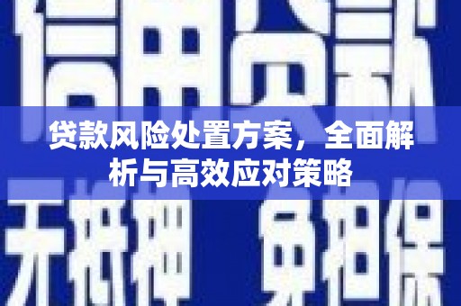 定州贷款风险处置方案，全面解析与高效应对策略